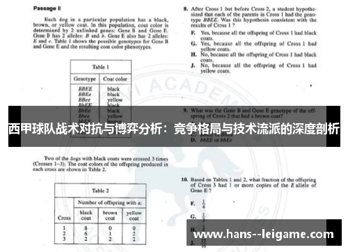 西甲球队战术对抗与博弈分析：竞争格局与技术流派的深度剖析