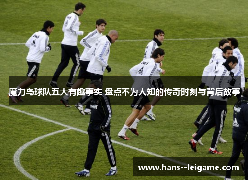 魔力鸟球队五大有趣事实 盘点不为人知的传奇时刻与背后故事 魔力鸟球队五大有趣事实 盘点不为人知的传奇时刻与背后故事